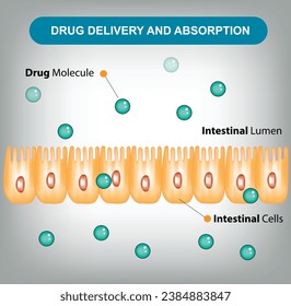Arzneimittellieferung und Darmabsorptionsvektor
