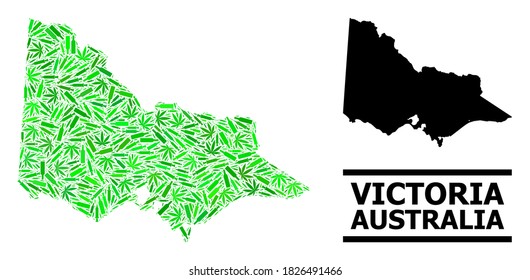 Drugs mosaic and solid map of Australian Victoria. Vector map of Australian Victoria is shaped of scattered vaccine symbols, marijuana and drink bottles.