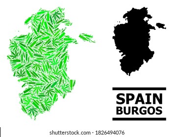 Drugs mosaic and solid map of Burgos Province. Vector map of Burgos Province is composed with randomized injection needles, weed and alcohol bottles.