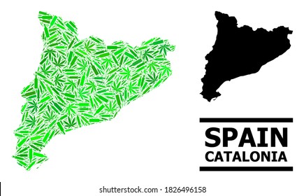 Mosaico de drogas y mapa sólido de Cataluña. El mapa vectorial de Cataluña está formado con jeringas aleatorias, botellas de herbario y alcohol. Resumen del esquema territorial en colores verdes para el mapa de Cataluña.