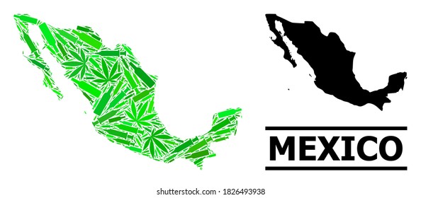 Drugs mosaic and solid map of Mexico. Vector map of Mexico is designed from random vaccine symbols, hemp and alcohol bottles. Abstract geographic plan in green colors for map of Mexico.