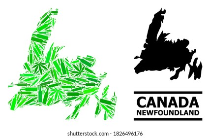 Drogen Mosaik und solide Karte von Neufundland Island. Die Vektorkarte von Neufundland Island ist mit verstreuten Ikonen, Marihuana- und Alkoholflaschen erstellt.