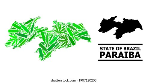 Mosaico de drogas y mapa sólido del estado de Paraiba. El mapa vectorial del estado de Paraiba está organizado con símbolos de la vacuna al azar, hierbas y botellas de vino.