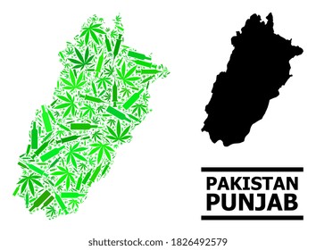 Drugs mosaic and solid map of Punjab Province. Vector map of Punjab Province is created from randomized vaccine doses, ganja and drink bottles.