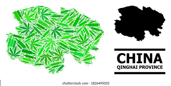 Drugs mosaic and solid map of Qinghai Province. Vector map of Qinghai Province is formed with randomized inoculation icons, dope and alcohol bottles.