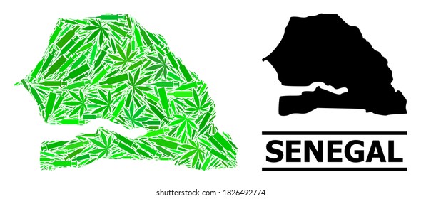 Drugs mosaic and solid map of Senegal. Vector map of Senegal is created of scattered vaccine doses, herb and alcoholic bottles. Abstract territorial scheme in green colors for map of Senegal.