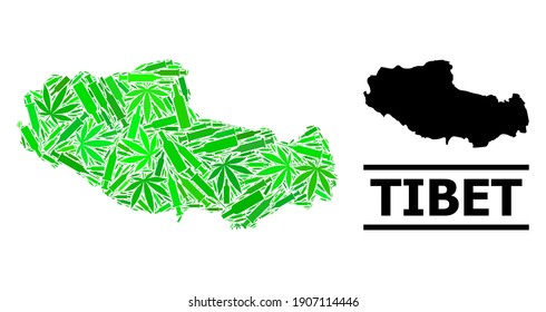 Drugs mosaic and solid map of Tibet. Vector map of Tibet is created from random vaccine symbols, hemp and drink bottles. Abstract territorial scheme in green colors for map of Tibet.