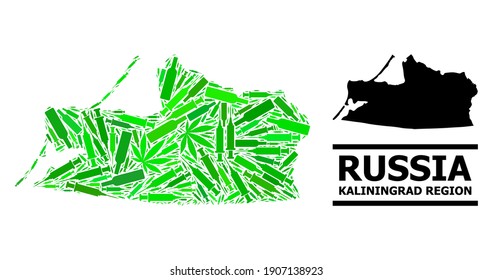 Drugs mosaic and usual map of Kaliningrad Region. Vector map of Kaliningrad Region is shaped from randomized injection needles, weed and alcohol bottles.