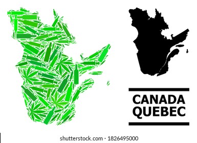 Drugs mosaic and usual map of Quebec Province. Vector map of Quebec Province is formed from scattered vaccine doses, weed and alcohol bottles.