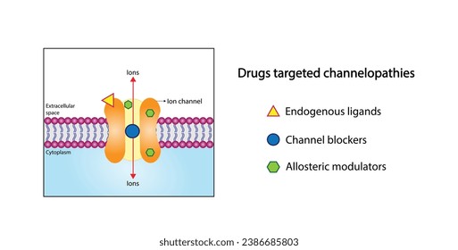 gezielte Drogen, Kanelopathien, endogene Liganden,
Kanalblocker und allostgenerische Modulatoren.  Ligand, spannungsgesteuerter Ionenkanal. Mechanismus für den Transport von Ionen. Vektorgrafik.