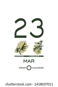 Druid calendar of flowers and trees. Leaf calendar template. Day after day. March 23 is a nutwood tree and a foxglove flower. Astrological сeltic horoscope. Eco design.