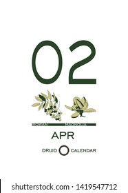 Druid calendar of flowers and trees. Leaf calendar template. Day after day. April 2 is a rowan tree and a magnolia flower. Astrological celtic horoscope. Eco design
