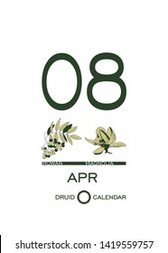 Druid calendar of flowers and trees. Leaf calendar template. Day after day. April 8 is a rowan tree and a magnolia flower. Astrological celtic horoscope. Eco design