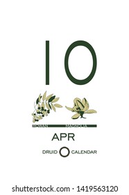 Druid calendar of flowers and trees. Leaf calendar template. Day after day. April 10 is a rowan tree and a magnolia flower. Astrological celtic horoscope. Eco design