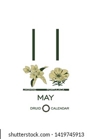 Druid calendar of flowers and trees. Leaf calendar template. Day after day. May 11 is a jasmine tree and a portulaca flower. Astrological celtic horoscope. Eco design
