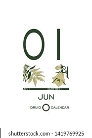Druid calendar of flowers and trees. Leaf calendar template. Day after day. June 1 is ach tree and a harebell flower. Astrological celtic horoscope. Eco design