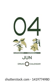 Druid calendar of flowers and trees. Leaf calendar template. Day after day. June 4 is a hornbeam tree and a harebell flower. Astrological celtic horoscope. Eco design