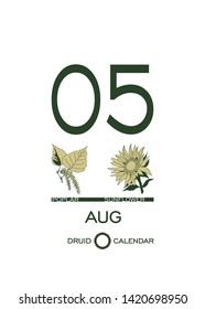 Druid calendar of flowers and trees. Leaf calendar template. Day after day. August 5 is a poplar tree and a sunflower flower. Astrological celtic horoscope. Eco design