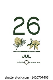 Druid calendar of flowers and trees. Leaf calendar template. Day after day. July 26 is a cypress tree and a eglantine flower. Astrological celtic horoscope. Eco design