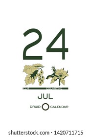 Druid calendar of flowers and trees. Leaf calendar template. Day after day. July 24 is elm tree and a eglantine flower. Astrological celtic horoscope. Eco design