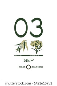 Druid calendar of flowers and trees. Leaf calendar template. Day after day. September 3 is a willow tree and a carnation flower. 