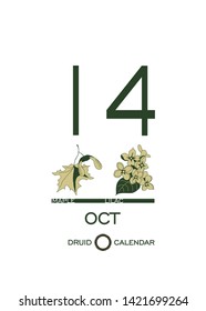 Druid calendar of flowers and trees. Leaf calendar template. Day after day. October 14 is a maple tree and a lilac flower. Astrological celtic horoscope. Eco design