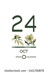 Druid calendar of flowers and trees. Leaf calendar template. Day after day. October 24 is a nut tree and a freesia flower. Astrological celtic horoscope. Eco design