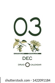 Druid calendar of flowers and trees. Leaf calendar template. Day after day. December 3 is a hornbeam tree and a dandelion flower. Astrological celtic horoscope. Eco design