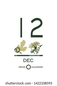 Druid calendar of flowers and trees. Leaf calendar template. Day after day. December 12 is a fig tree and a dandelion flower. Astrological celtic horoscope. Eco design