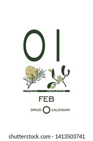 Druid calendar of flowers and trees. Template sheet tear-off calendar. Day after day. One day February 1 is a cypress tree and mistletoe flower. Astrological Celtic horoscope. Eco design.