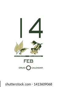 Druid calendar of flowers and trees. Template sheet tear-off calendar. Day after day. One day February 14 is a tree hackberry and belladonna flower. Astrological Celtic horoscope. Eco design.