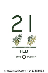 Druid calendar of flowers and trees. Template sheet tear-off calendar. Day after day. February 21 is a pine tree and a mimosa flower. Astrological Celtic horoscope. Eco design.