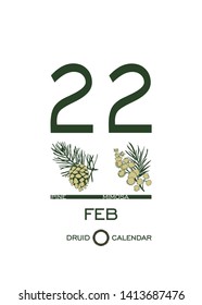 Druid calendar of flowers and trees. Template sheet tear-off calendar. Day after day. February 22 is a pine tree and a mimosa flower. Astrological Celtic horoscope. Eco design.