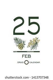 Druid calendar of flowers and trees. Template sheet tear-off calendar. Day after day. February 25 is a pine tree and mimosa flower. Astrological Celtic horoscope. Eco design.