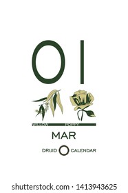 Druid calendar of flowers and trees. Template sheet tear-off calendar. Day after day. March 1 is a willow tree and  poppy flower. Astrological Celtic horoscope. Eco design.