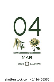 Druid calendar of flowers and trees. Template sheet tear-off calendar. Day after day. March 4 is a willow tree and  poppy flower. Astrological celtic horoscope. Eco design.