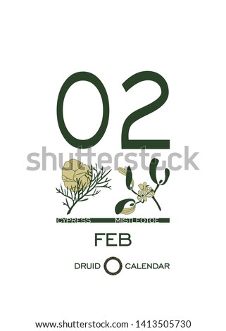 Druid calendar of flowers and trees. Template sheet tear-off calendar. Day after day. One day on February 2 is a cypress tree and mistletoe flower. Astrological Celtic horoscope. Eco design.