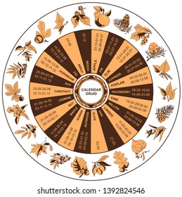 Druid celtic calendar. Trees: apple, fir, elm, cypress, poplar, hackberry, pine, willow, linden, oak, nutwood, rowan, birch, maple, walnut, jasmine, chestnut, ash, hornbeam, fig, olive, beech.