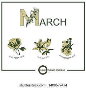 Druid flower horoscope. A set of flowers in the month of March: poppy, lily, foxglove. Celtic astrological calendar