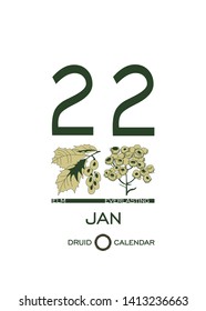 Druid plant calendar. Calendar sheet - January 22st day corresponds to an elm tree and a flower everlasting. Astrological Celtic horoscope day after day. Calendar template for eco design.