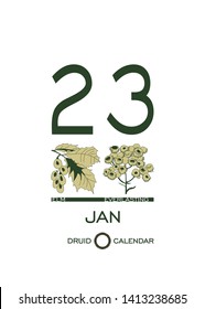 Druid plant calendar. Calendar sheet - January 23st day corresponds to an elm tree and a flower everlasting. Astrological Celtic horoscope day after day. Calendar template for eco design.