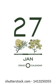 Druid plant calendar. Calendar sheet - January 27st day corresponds to an cypress tree and a flower everlasting. Astrological Celtic horoscope day after day. Calendar template for eco design.