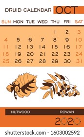 Druid tree calendar October 2020. Celtic October trees: nutwood, rowan