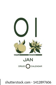 Druidic plant calendar. The day of January 1 corresponds to an apple tree and a gentian flower. Celtic astrological horoscope. Eco design for natural decor