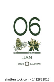 Druidic plant calendar. January 6th day corresponds to fir tree and gentian flower. Celtic astrological horoscope. Eco design for natural decor. Calendar template