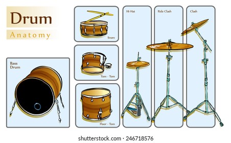 drum