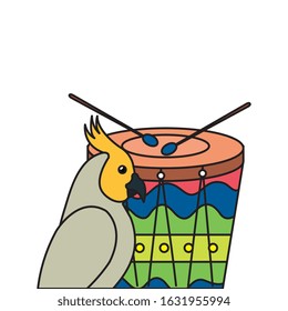 drum with parrot bird isolated icon vector illustration design
