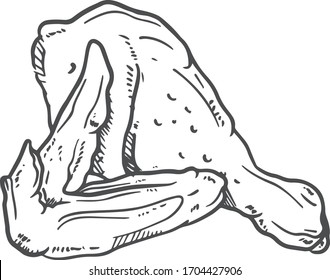 Drumstick and Wings Hand drawn Doodle