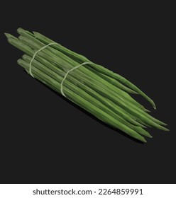 diseño de vectores de plantas o plantas de munga