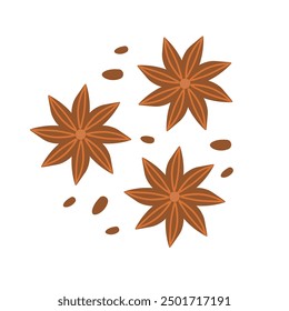 Dry aniseed or star anise. Composition of Chinese winter spice, with seeds. Doodle flat illustration. Hand drawn detailed vector illustration of illicium  isolated on white background